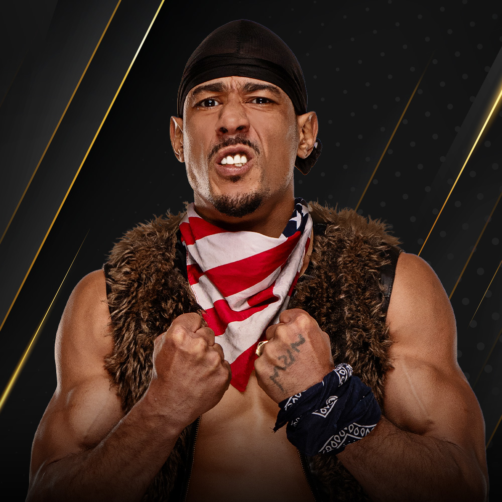 AR Fox